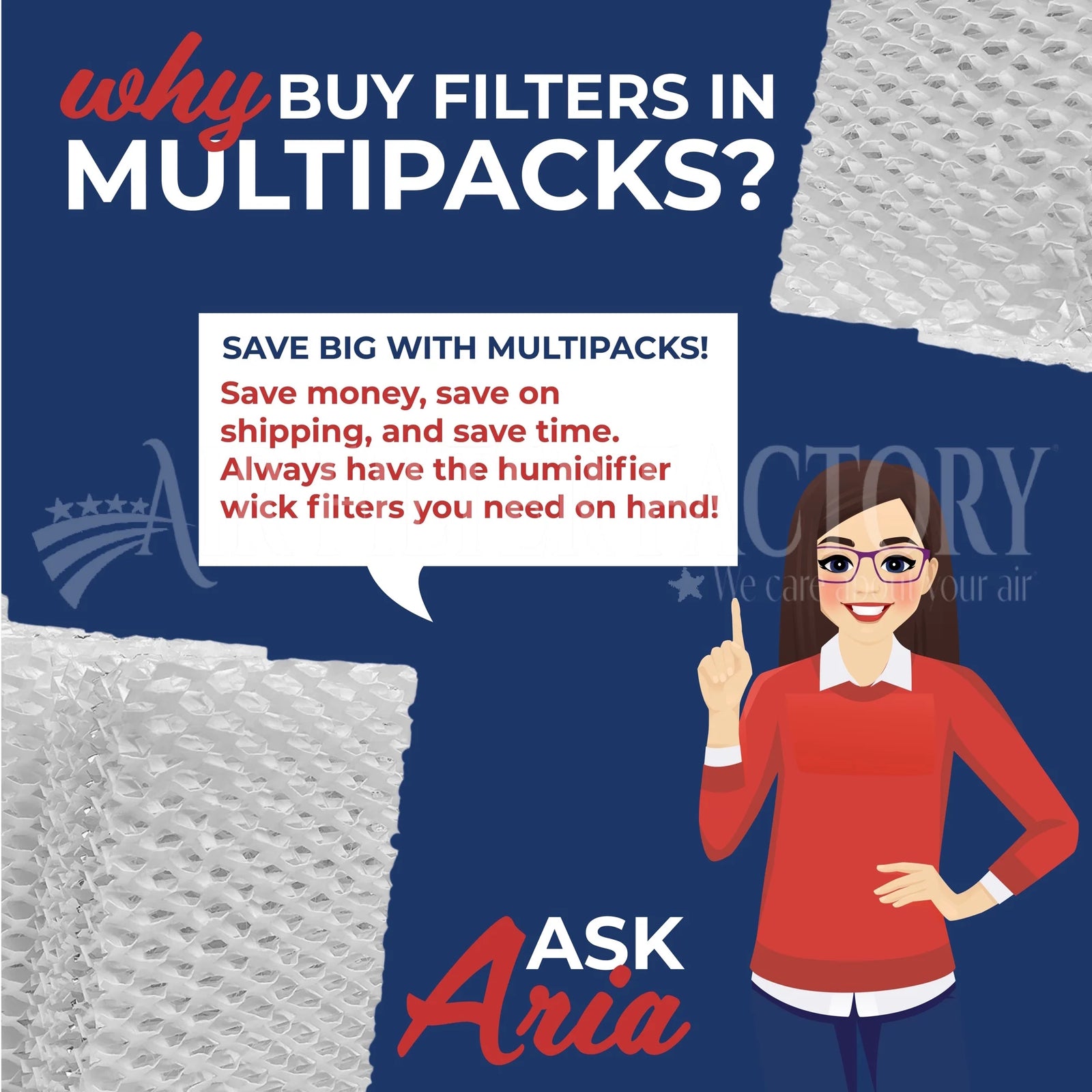 Replacement for D13C Humidifier Wick Filter 2-Pack